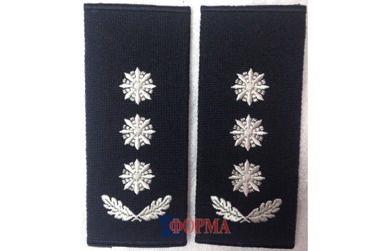 Полковник поліції